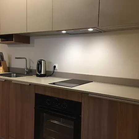 New Luxury Business Apartment