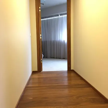 New Luxury Business Apartment *
